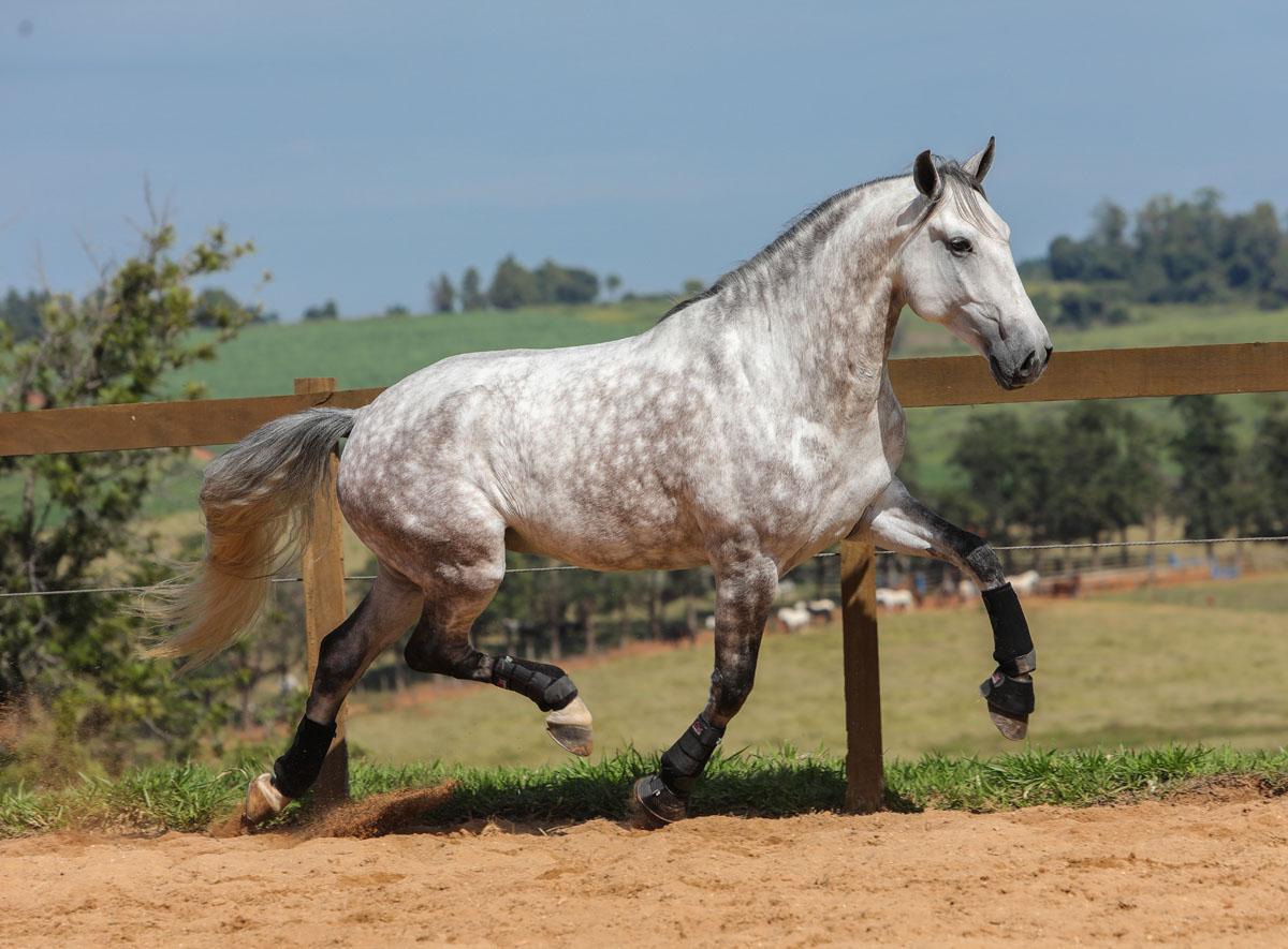 Herbert Interagro | Photo: TUPA