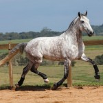 Herbert Interagro | Photo: TUPA