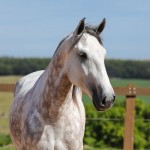 Herbert Interagro | Photo: TUPA