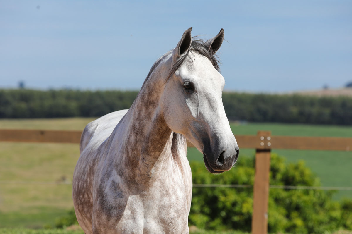 Herbert Interagro | Photo: TUPA