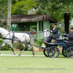 Herbert Interagro/Interagro Lusitanos