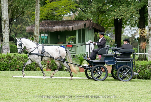 Herbert Interagro/Interagro Lusitanos