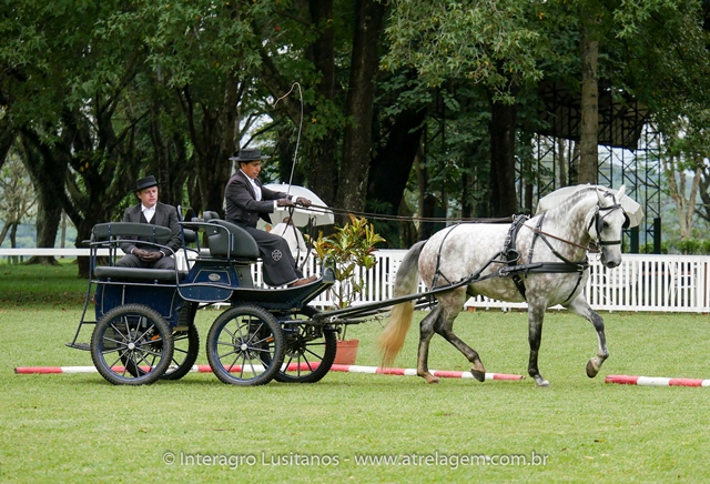 Herbert Interagro/Interagro Lusitanos