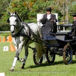 Herbert Interagro/Interagro Lusitanos