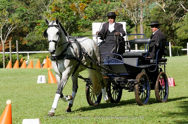Herbert Interagro/Interagro Lusitanos
