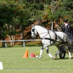 Herbert Interagro/Interagro Lusitanos