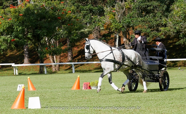 Herbert Interagro/Interagro Lusitanos