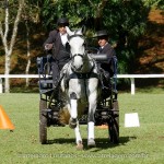 Herbert Interagro/Interagro Lusitanos