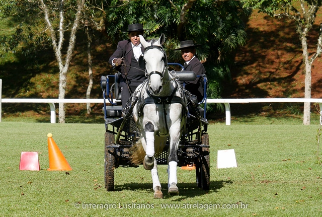 Herbert Interagro/Interagro Lusitanos
