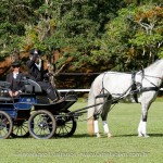 Herbert Interagro/Interagro Lusitanos