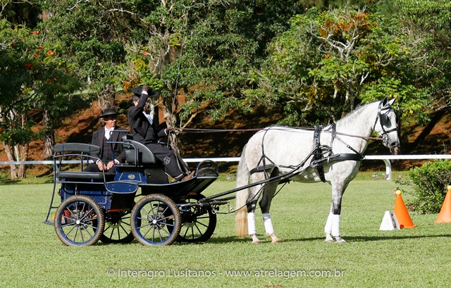 Herbert Interagro/Interagro Lusitanos