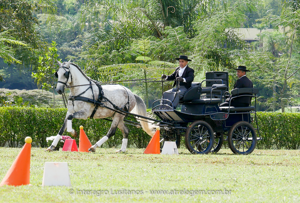 Herbert Interagro & Valentim Brito