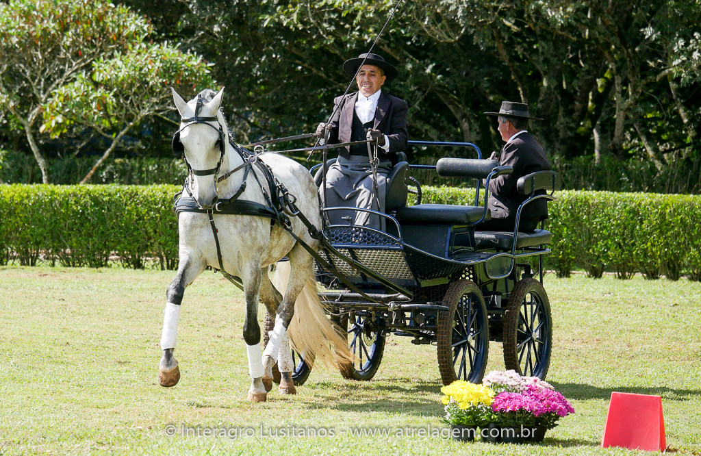 Herbert Interagro & Valentim Brito