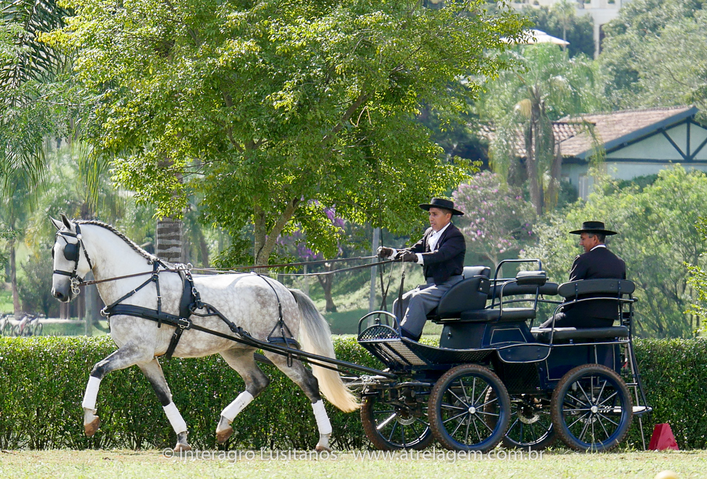 Herbert Interagro & Valentim Brito