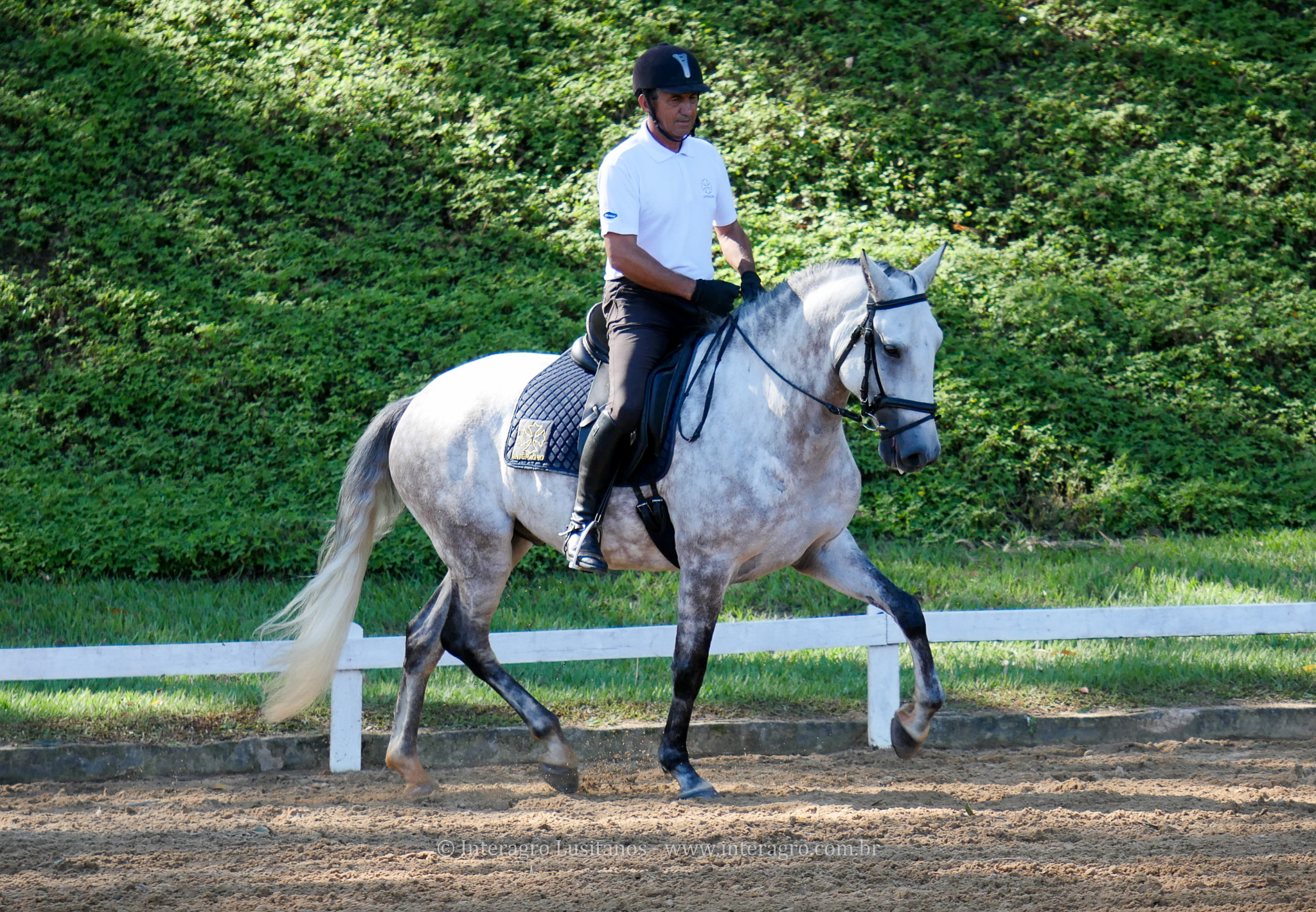 Herbert Interagro/Interagro Lusitanos