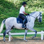 Herbert Interagro/Interagro Lusitanos