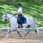 Herbert Interagro/Interagro Lusitanos