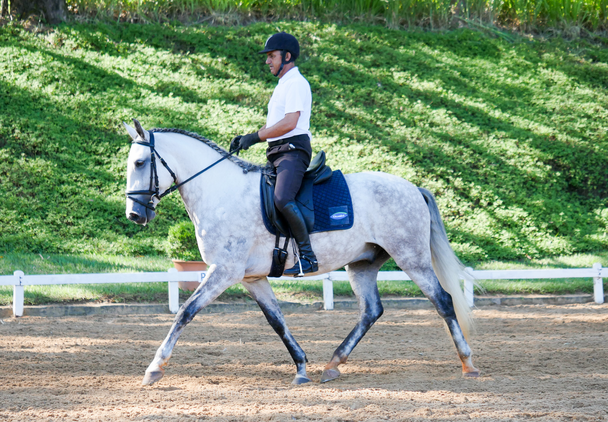 Herbert Interagro/Interagro Lusitanos