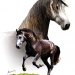 Valerius Interagro/Johnny Duarte