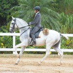 Incrível Interagro/Martina Brandes - 1st phase of 2019 Sao Paulo State Working Equitation Championship 2019
