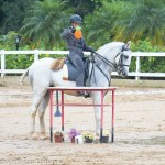 Incrível Interagro/Martina Brandes - 1st phase of 2019 Sao Paulo State Working Equitation Championship 2019