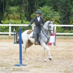 Incrível Interagro/Martina Brandes - 1st phase of 2019 Sao Paulo State Working Equitation Championship 2019