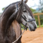 Jackpot Interagro/Photo: TUPA