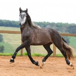 Jackpot Interagro/Photo: TUPA