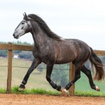 Jackpot Interagro/Photo: TUPA