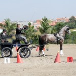 Jackpot Interagro winning the 1st phase of 2018 Brazilian Driving Ranking CBH /Interagro Lusitanos