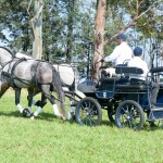 Jackpot Interagro & Lyco Interagro/Martina Brandes