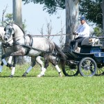 Jackpot Interagro & Lyco Interagro/Martina Brandes