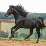 Juarez Interagro/Photo TUPA