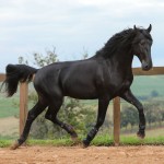 Juarez Interagro/Photo TUPA