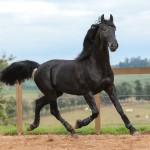 Juarez Interagro/Photo TUPA