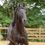 Juarez Interagro/Photo TUPA