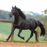 Juarez Interagro/Photo TUPA