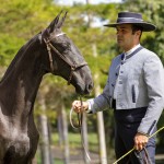 Numídia Interagro - Lusitano filly for sale at 17th Interagro Yearlings Auction/TUPA