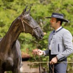 Numídia Interagro - Lusitano filly for sale at 17th Interagro Yearlings Auction/TUPA