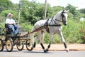 Homero Interagro driven by its owner Mr. Flavio D´Angieri Filho