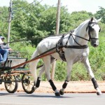 Homero Interagro driven by its owner Mr. Flavio D´Angieri Filho