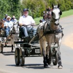 Herbert Interagro driven by Fabio Silva