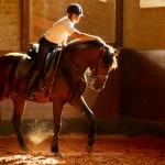 Empreiteiro Interagro/Interagro Lusitanos