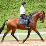 Empreiteiro Interagro/Interagro Lusitanos