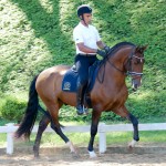 Fauno Interagro/Interagro Lusitanos