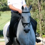 Firmador Interagro/Interagro Lusitanos