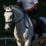 Firmador Interagro/Interagro Lusitanos