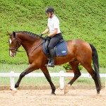 Hectar Interagro/Interagro Lusitanos