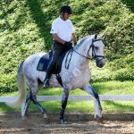 Herbert Interagro/Interagro Lusitanos