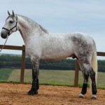 Ícarus Interagro/Photo: TUPA